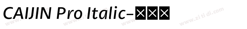 CAIJIN Pro Italic字体转换 CAIJIN Pro Italic字体转换